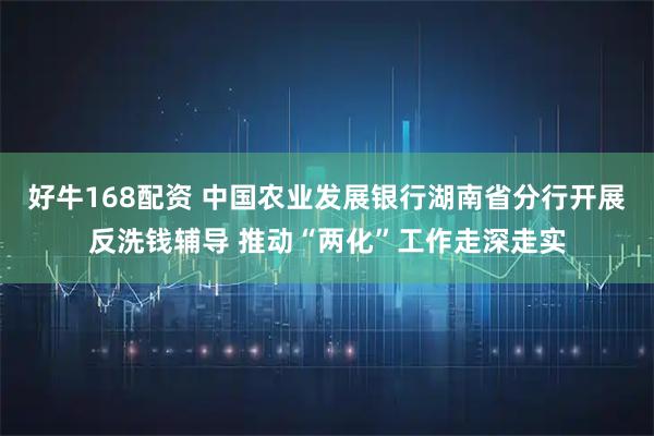 好牛168配资 中国农业发展银行湖南省分行开展反洗钱辅导 推动“两化”工作走深走实